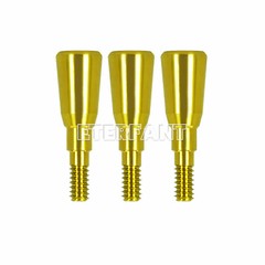 Dental Healing Cap Abutments NC/RC Cover Screw Titanium Fit Straumann ITI BLT