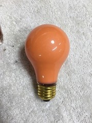 Orange 100 Watt A19 LightBulb 100A19/CO Guaranteed LongLife Made in USA 4-Bulbs