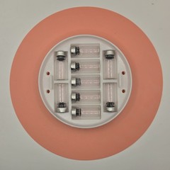 43 Vial Vacuum Sealed Stainless Peptide Container Perfect for Cold Storage!