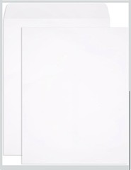 Blue Summit Supplies Catalog Mailing Envelopes Gummed Seal, 10×13 100-Pack NEW