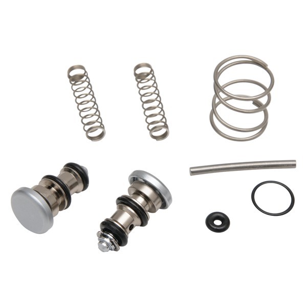DCI 3635 Precision Comfort Syringe Buttons & Repair Dental Kit