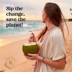 24 Hours Flex Paper Straws – (100pcs Paper Straws) 100% Biodegradable Ecofrie…