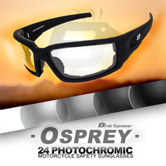 Birdz Eyewear Padded Osprey 24 Photochromic Motorcycle Sunglasses Clear To Smoke