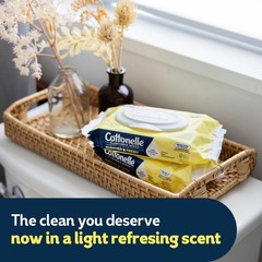Cottonelle Summer Fresh Scented Flushable 42 Count (Pack of 2), Rgd Flptp Bdl