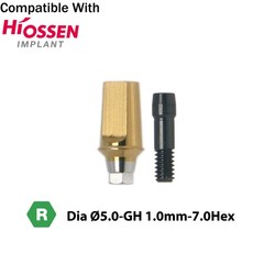 Dental Regular Straight Abutment with Screw fits Hiossen Osstem Ø4.5/5.0/6.0mm