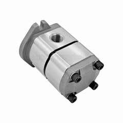 NEW Hydraulic Pump Double Acting Two Section for AGT-H15R Mini Excavators