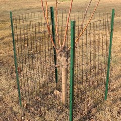 Black PVC Coated Welded Wire Fence 48 Inch x 50 Foot, 2 Inch x 3 Inch 16GA, G…