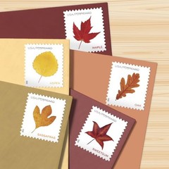 United States Postal Service Vibrant Leaves 2025 Postcard Rate 2 Sheets Of 20