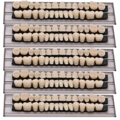 15 Sets Denture 23# Shade A2 Acrylic Resin Full Set Teeth Upper Lower Dental US