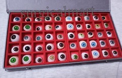 Ocular Prosthesis Eye Unique Shades Colors Acrylic Assorted Size Set Of 50 Eye