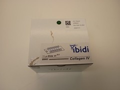 iBidi 80602 µ-Slide VI 0.4 Collagen IV LOT of 8 pieces EXP 02/2024