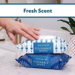 Member’s Mark Flushable Wipes, Fresh Scent, 540 ct.