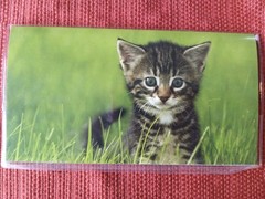 Cats, Dogs, or Butterfly Pocket Calendars 2026-2027 2-Year Pocket Planner