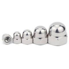 M3 M4 M5 M6 M8 M10 M12 Cap Acorn Dome Nuts Hex Nut A2 Stainless Steel DIN 1587