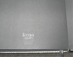 ECCOLO METALLIC SILVER SNAKE EMBOSSED WORLD TRAVELER LINED JOURNAL #OD438B