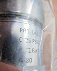 🔥NEW GO REGULATOR PR1-1A11A3D111 0-25 PSIG 1.72 BAR 1636 EA 2139890 G80