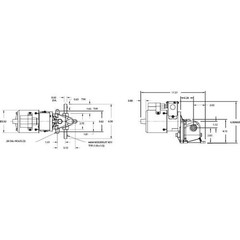 Dayton 1Lpz3 Ac Gearmotor, 250 In-Lb Max. Torque, 1.5 Rpm Nameplate Rpm,
