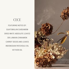 Homecourt All-Purpose Surface Cleaner Spray, Lifts Away Dirt, Smudges &…
