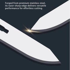 100-Pack #60XT Stainless Steel Surgical Blades â€“ Compatible with Havalon Pira