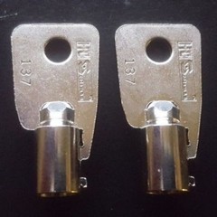 GC123 2 NEW KEYS Sentry Pistol Safe Code:GC123 Handgun Key Models QAP1E & QAP1BE