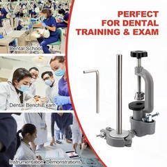 Dental Typodont Mounting Pole Implant Pole 360° Dental Simulator not Teeth Model