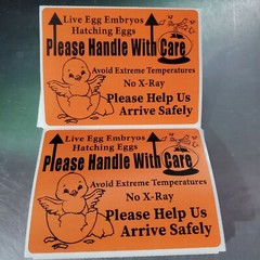 200 Large 4″ x 3″ Handle with care Hatching Eggs Mailing Shipping Label sticker