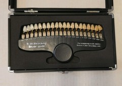 R-20 Bleaching Shade Guide Professional Teeth Whitening Shade Guide Only