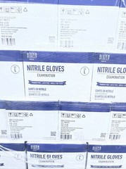 1000 Large Premium Powder Free Exam Gloves (10 Boxes of 100) Exp.2027