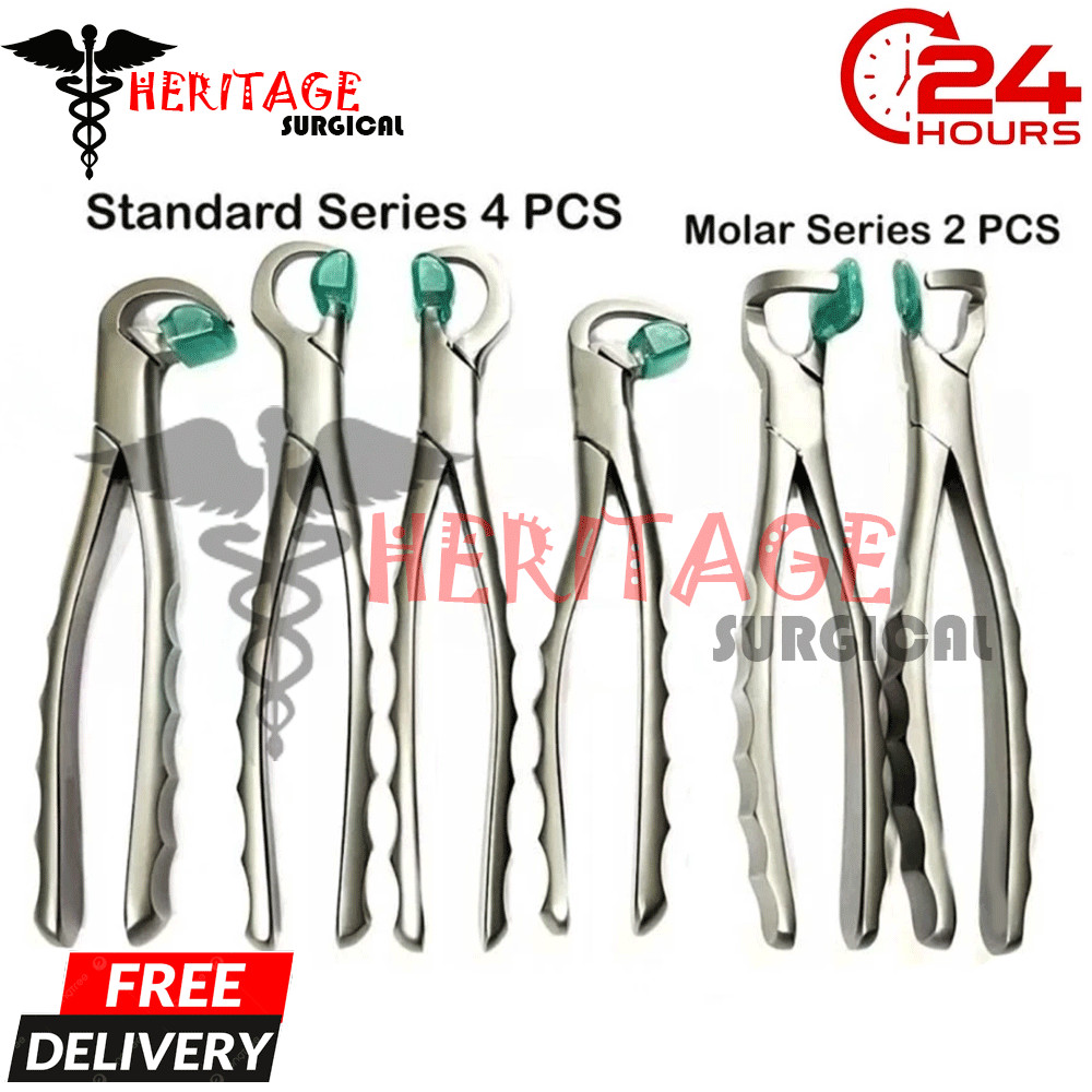 Dental Extraction Forceps Standard Series Set of 4 Pcs + 2 pcs Molar Series Set