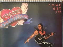 for Rick James, Stone City Band Come Get It! (1978 ) fans! Album Cover Notebook