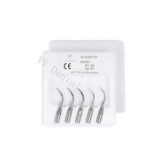 For Woodpecker EMS Chair Dental Ultrasonic Piezo Scaler Unit Handpiece 5*Tips