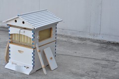 7PCS Automatic Honey Beehive Frames + White Painted Beehive House wooden Box New
