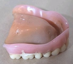 Dentures False Fake Teeth Upper Plate Dentist School Oddity Halloween Prop