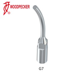 Woodpecker EMS Dental Ultrasonic Piezo Scaler Perio Tips G1 E10 P1 G2 E12 G20