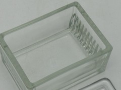 Vtg T.C. W. Co Glass Slide Staining Dish/Box w/Lid Holds 10 Horizontal Slides