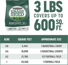 Pennington Kentucky 31 Tall Fescue Penkoted Grass Seed 3 lb 3 LB, Green