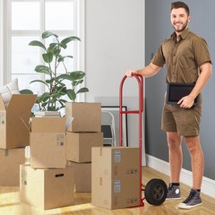 660 lbs Capacity Dolly Cart Heavy Duty Hand Truck Trolley with Nose Plate Red