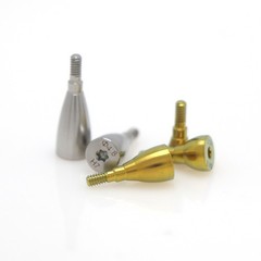 US Dental Healing Abutment Cap Closure Cap Cover Screw for Straumann ITI BLT/BL