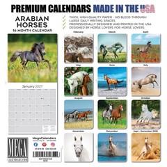 Arabian Horses Calendar 2024 FULL SIZE 12×24 Made in USA