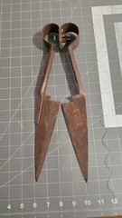 Vtg Sheep Wool Shears Steel Rusty Primitive