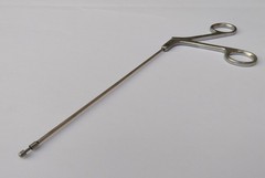 Sinus Mushroom Circular Cuting Punch Forcep Straight Ent Surgical Instruments