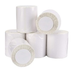 6 Rolls 4″x6″ Direct Thermal Shipping Labels 250/Roll for Zebra & Rollo Printers