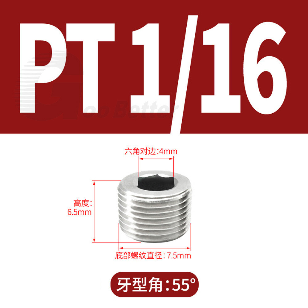 Stainless Steel Internal Hex Male Blanking Plug with BSPP, BSPT and NPT Threads