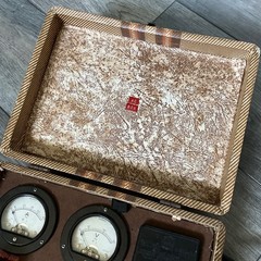 Vintage Portable Electrical Test Box Voltmeter Ammeter Experiment Field Test Kit