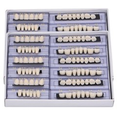 840Pcs Dental Acrylic Resin Denture 24# A2 Full Set Teeth Upper Lower Shade HOT