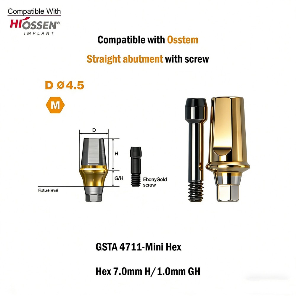 Dental Titanium Straight Abutment Ti Cemented Abutment Fits to Osstem Hiossen TS