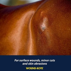 Farnam Wound-Kote Blue Lotion Spray Horse Wound Care for Use on Horses and Dogs,