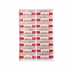 Dental Acrylic Resin Denture False Teeth Upper Lower Full Set A1/A2/A3 Shade USA