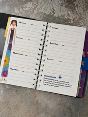 AMERICAN GIRL TODAY Vintage Blue School Planner Notebook (see description)