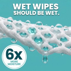Extra Large Body Wipes for Adults Bathing No 10 Count (Pack of 4), White